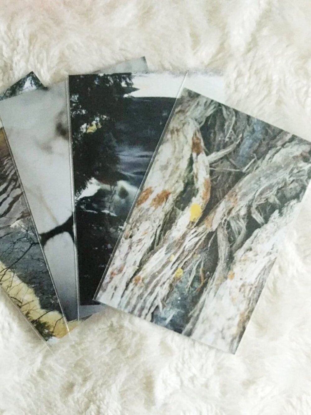 Set of 4 Original Canadian Winter Nature Photographs | Macro Art Prints & Epheme